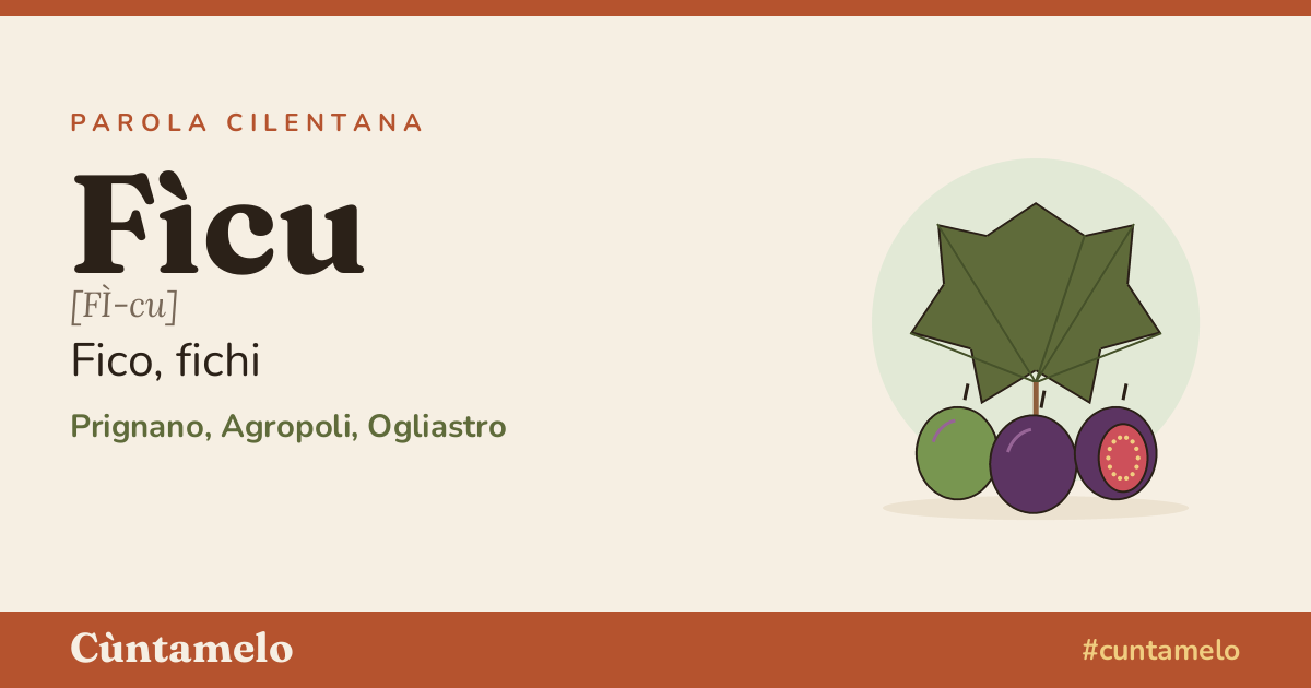 Cartolina di Fìcu