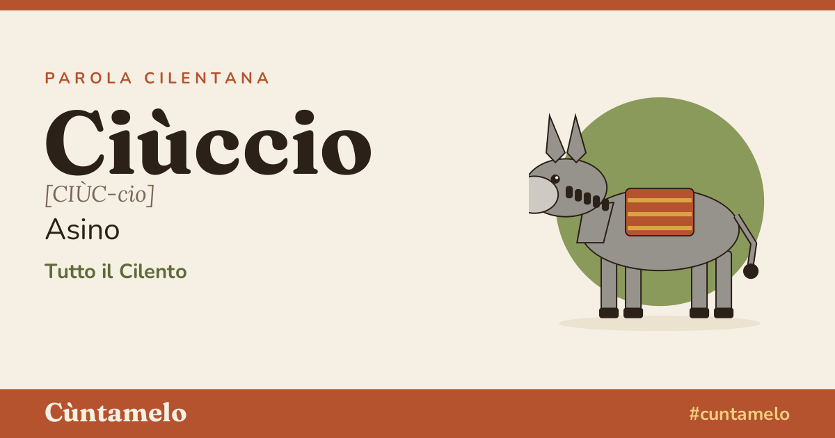 Cartolina di Ciùccio